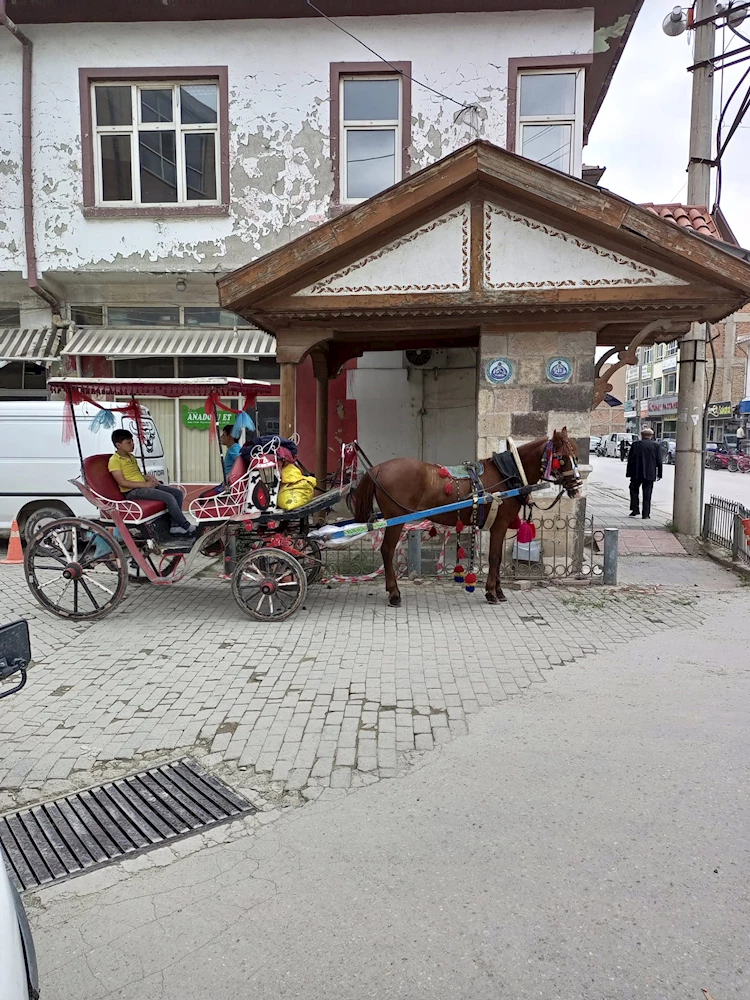 BOLVADİNDE FAYTONCULUK GELENEĞİ DEVAM EDİYOR.